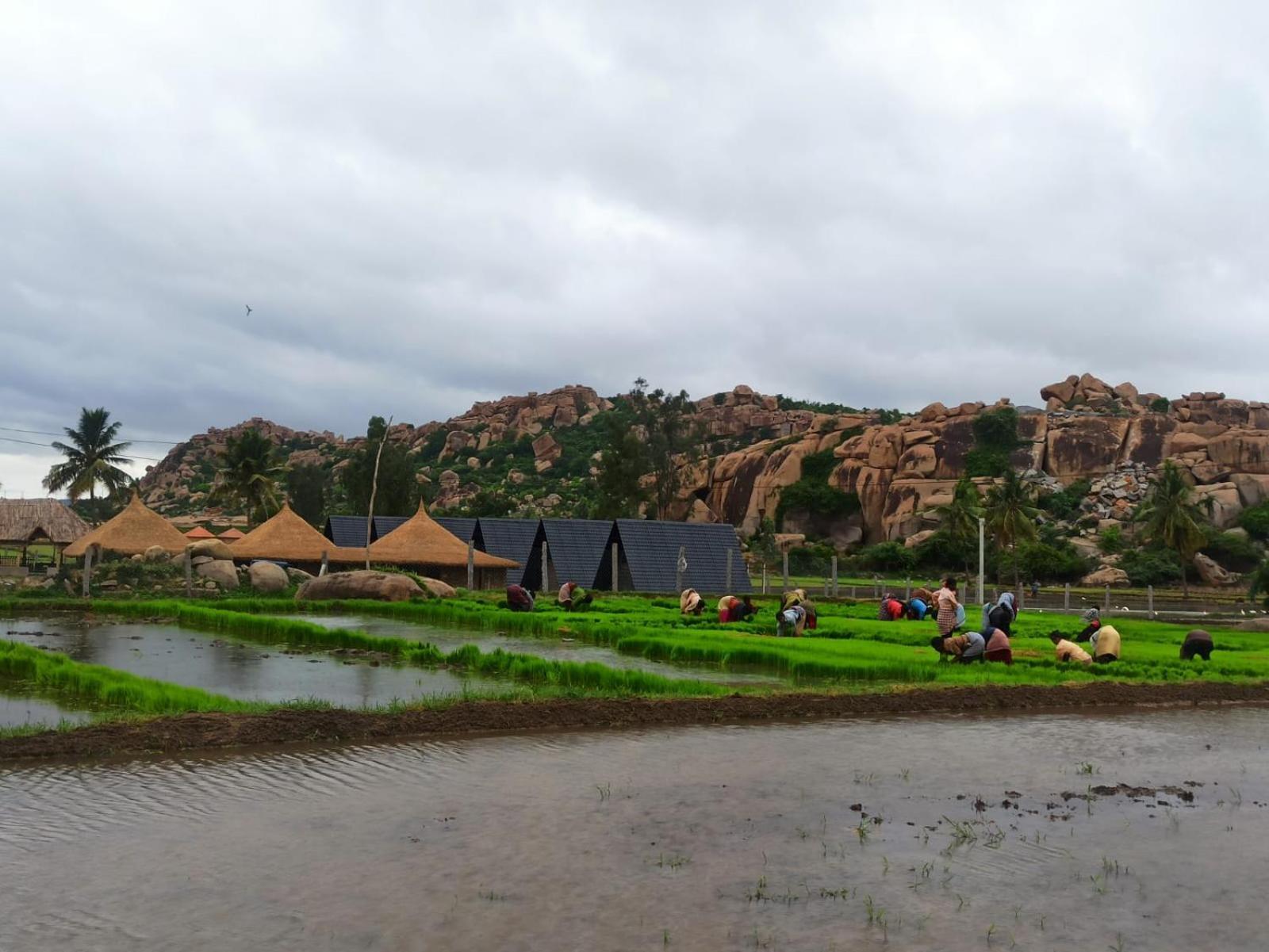 Golden Chariot Resort Hampi Eksteriør billede